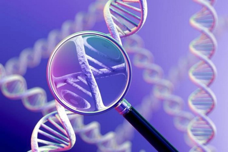 Yaşam süresi artık tahmin edilebilecek! DNA, yaşam süresi hakkında ipuçları veriyor