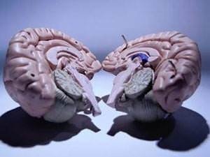 Dünyanın en ilginç kahininden korkunç kehanet