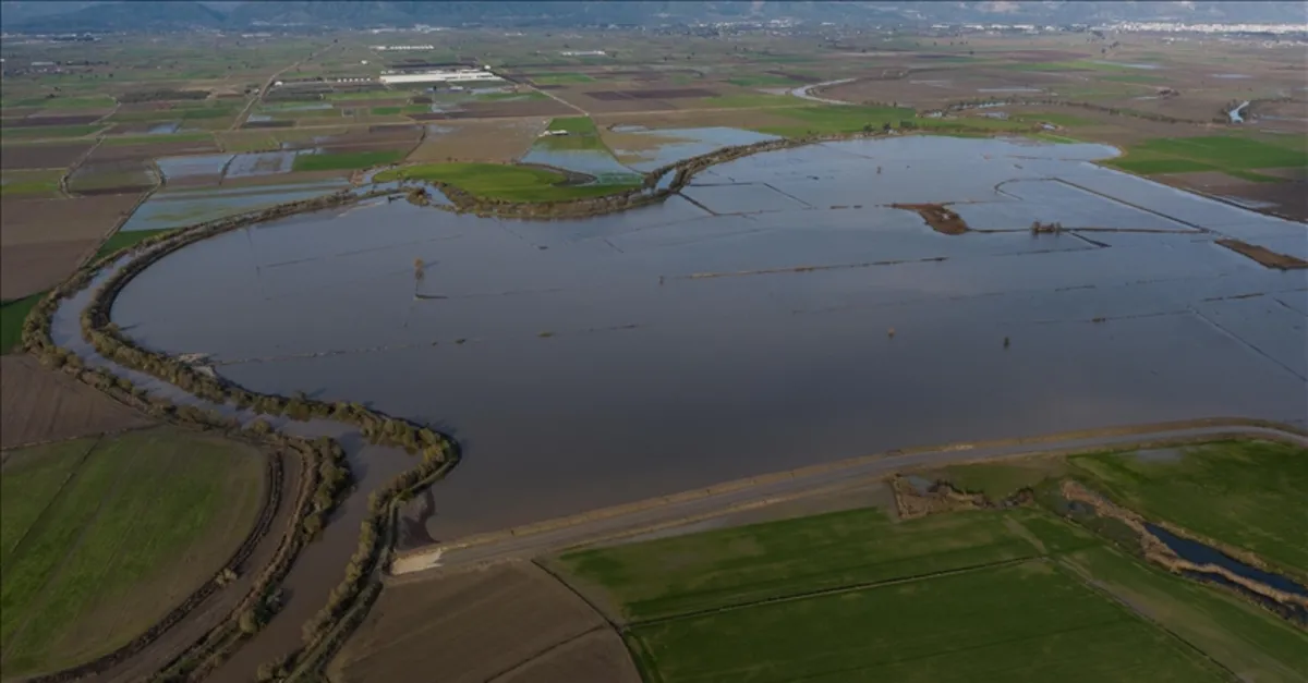 Büyük Menderes Nehri Taştı, Aydın'da 65 Bin Dönüm Tarım Arazisi Su Altında Kaldı