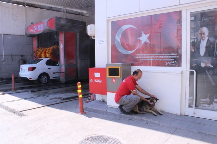 İzmir’de köpek ’Linda’ yıkanma yöntemiyle fenomen oldu