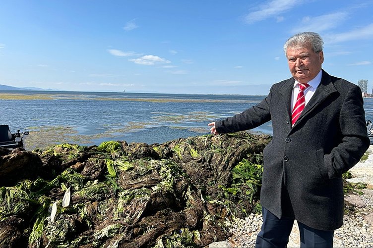 İzmir’in deniz marulu kabusu: Çok kirli ve çok doygun