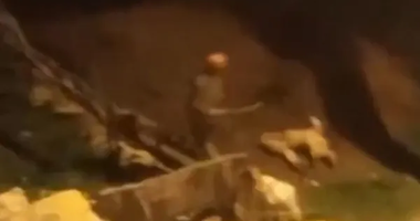 Köpeği döve döve öldürdü! Uşak’taki o cani tutuklandı