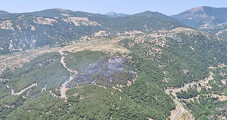 Son dakika: Aydın’daki orman yangını kontrol altında