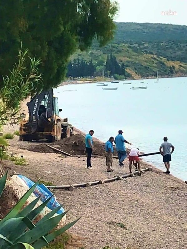 Minik Serçe’ye kaçak şoku