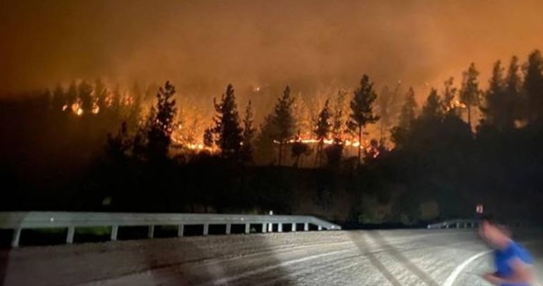Orman yakmak için 3 ilde keşif yapan 2 PKK’lı yakalandı