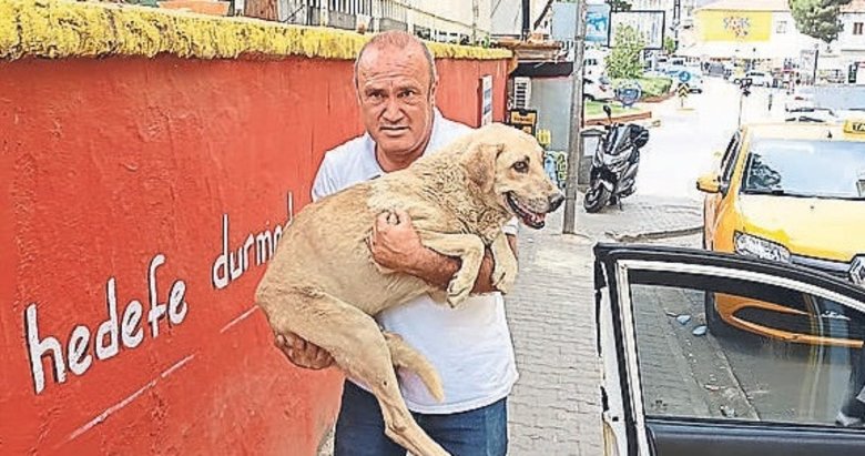 Hayvansever taksiciden alkış toplayan davranış