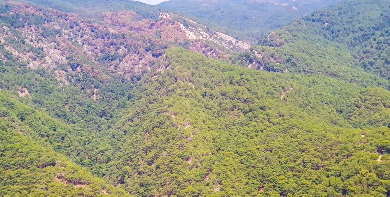 Kazdağları’nda yanan ormanlar havadan görüntülendi