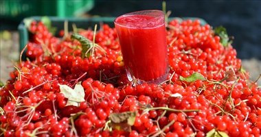 Gençlik isteyenler gilaburuya koşuyor! ’Gilaburu’nun faydaları nelerdir?