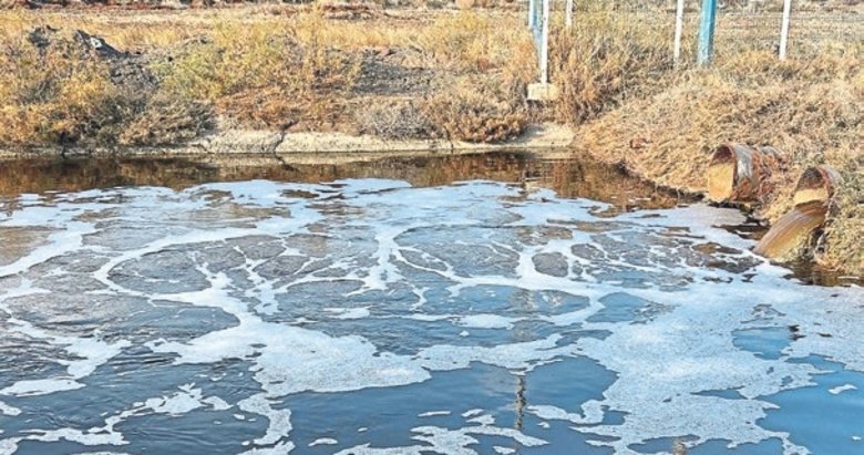 Kirlenen Gediz Nehri sağlığı tehdit ediyor