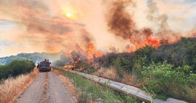 Çanakkale ve Aydın’da orman yangını: 6 gözaltı
