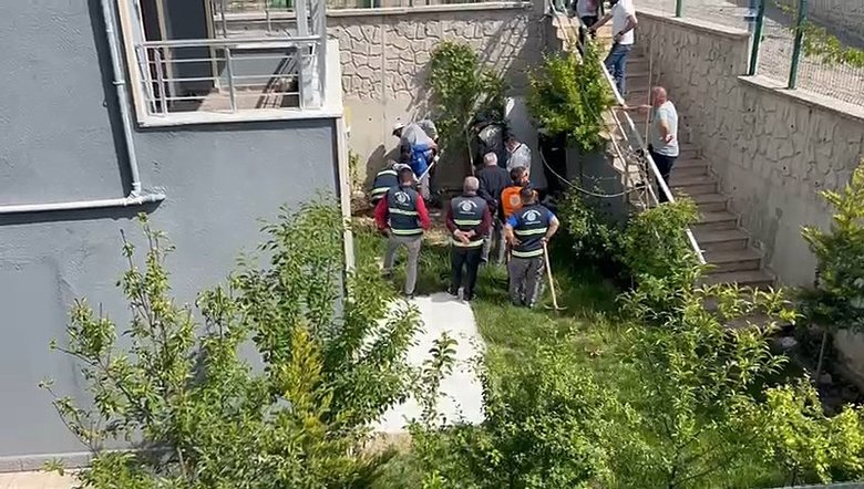 Doktorun sahiplenip öldürdüğü iddia edilen köpek sayısı 26’ya ulaştı