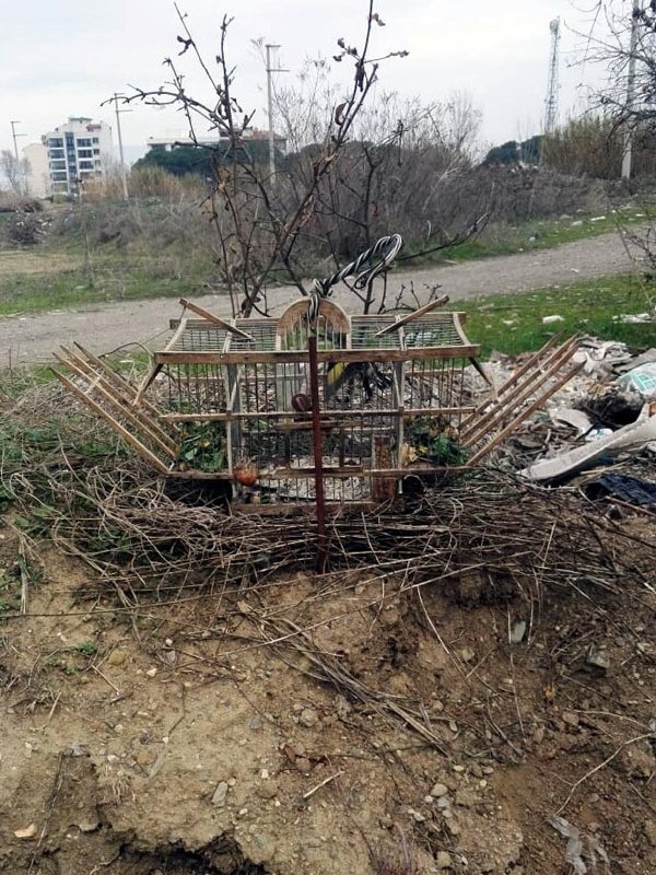 Tuzakla saka kuşu avlayan 2 kişiye 8 bin 300 lira ceza