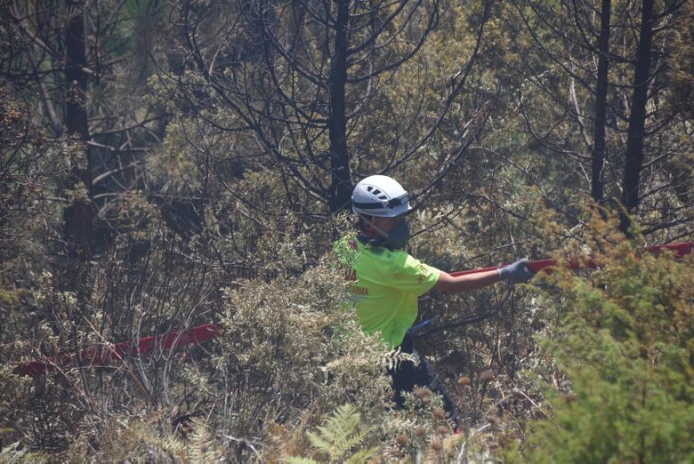 ’Yeşil Vatan’ için canla başla mücadele ediyorlar: Alevlerle savaşan kadınlar