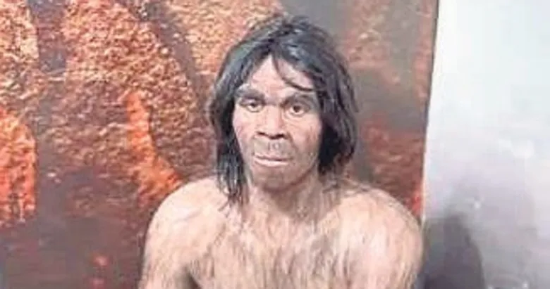 İnsanlığın göç haritasını değiştiren kafatası