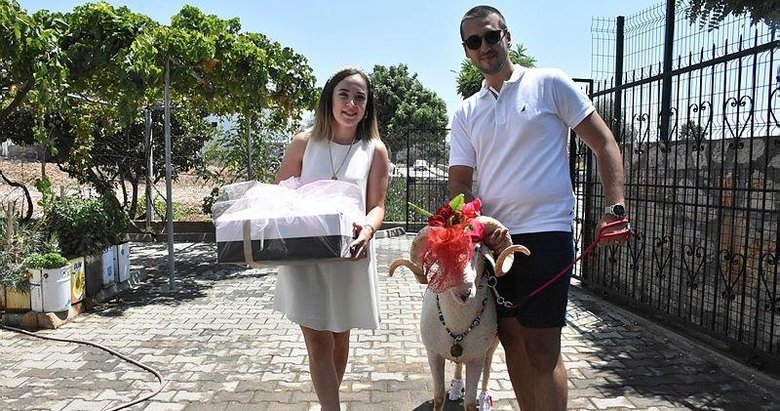 Turizmin gözdesi Bodrum’da gelin koçu geleneği yaşatılıyor