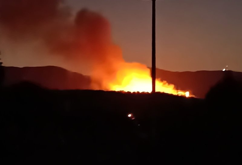 İzmir’de orman yangını! 5 saatte kontrol altına alındı