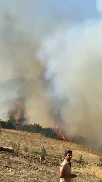 Denizli’de 2 kere kontrol altına alınan yangın tekrar başladı