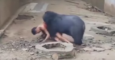 Kafese giren adam ayıya yem oldu! 