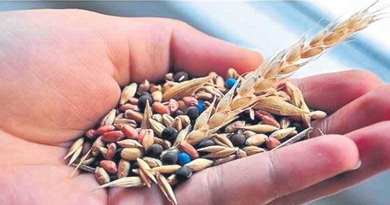 Muğla’da üretilen 22 milyon tohum üreticilere ulaştırıldı