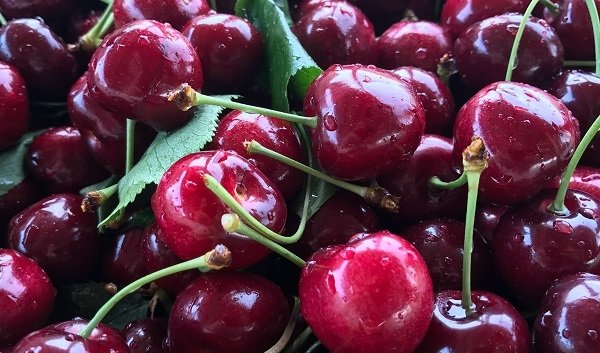 Kiraz sapı çayı neye iyi gelir, hangi hastalıklara faydası vardır?