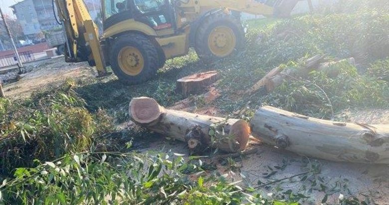 İzmir’de CHP’li belediyeden restoran için ağaç katliamı