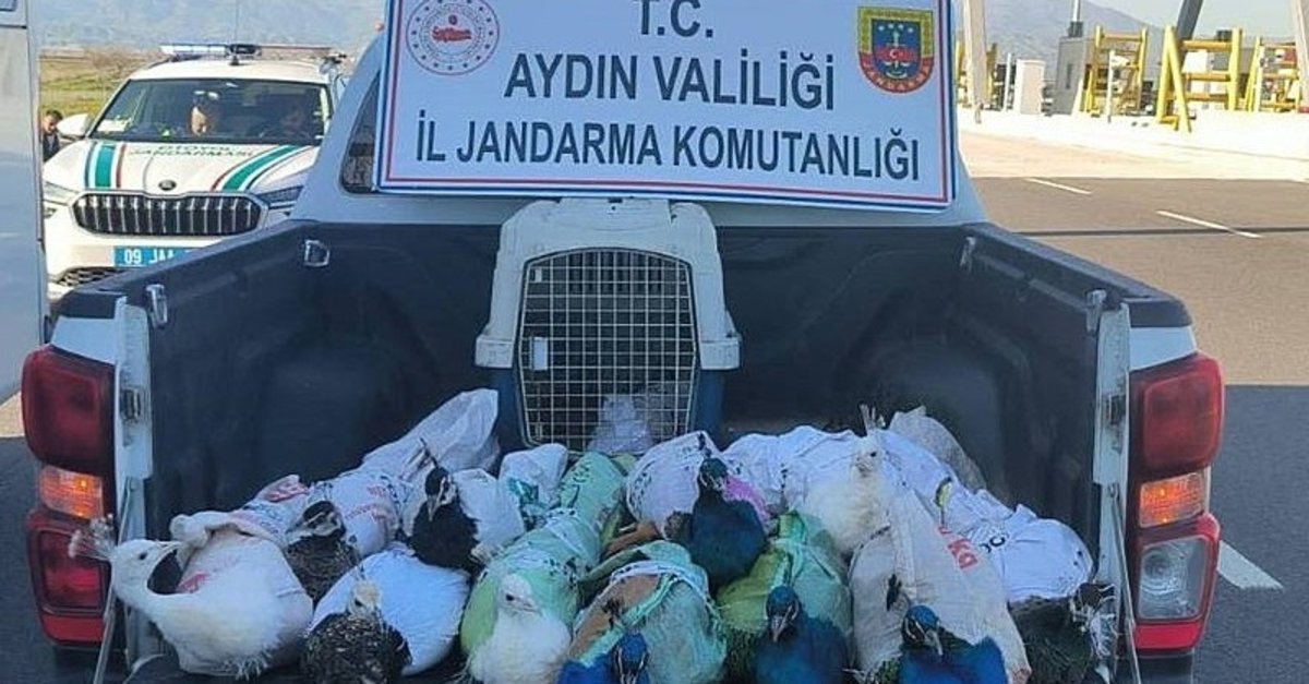 Aydın'da akılalmaz olay! Otobüsün bagajına koymuşlar