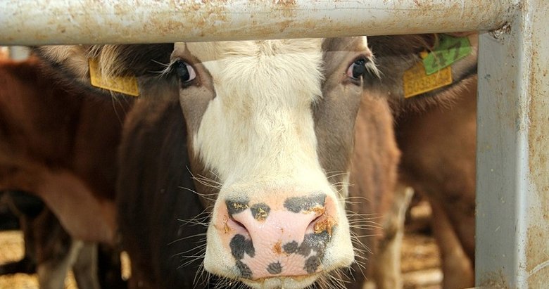 Denizli’de 19 mahalle karantinaya alındı