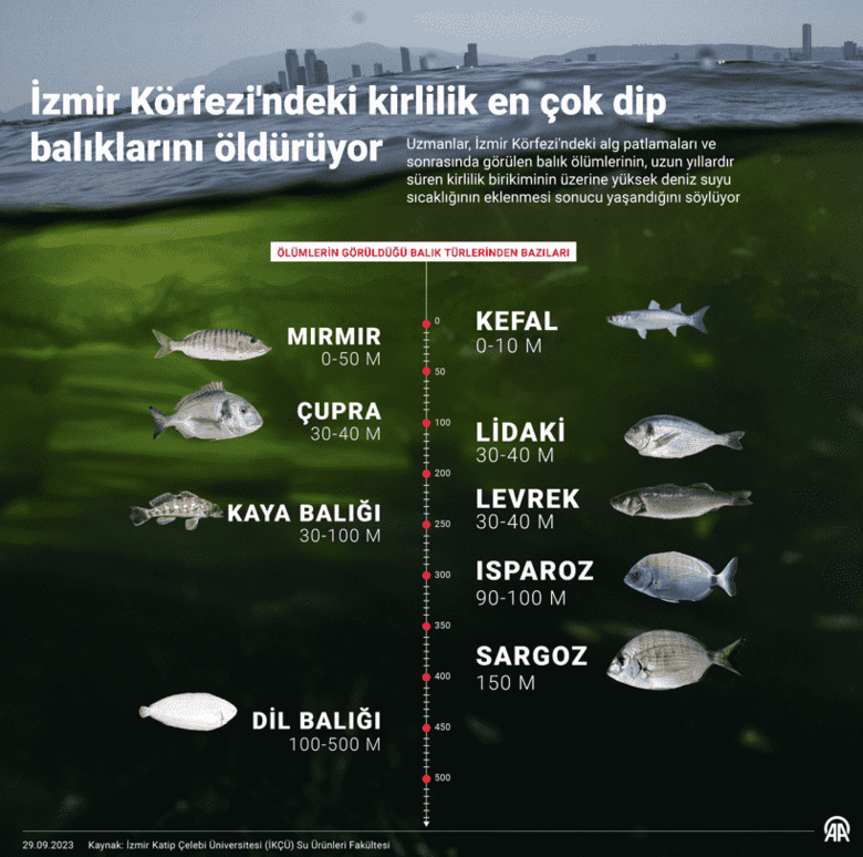 İzmir Körfezi’nde tutulan balıklar, tüketiciyi zehirliyor