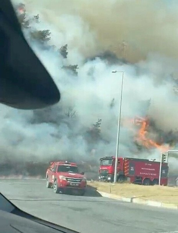 Aydın’daki maki yangını hızla yayılıyor
