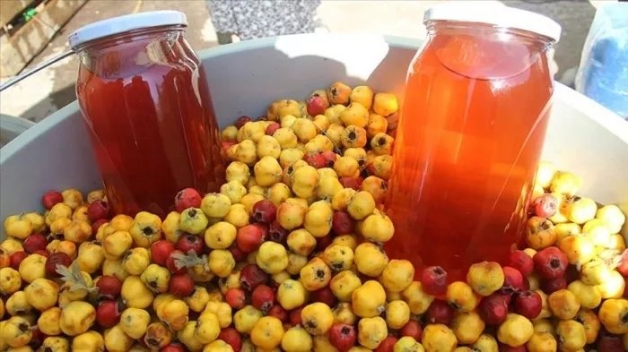 Alıç sirkesinin faydaları nelerdir? Alıç sirkesi nasıl tüketilir?