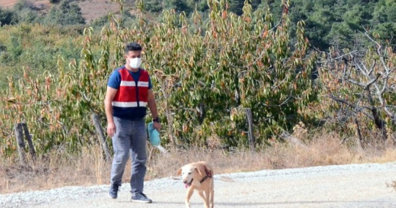 Turgutlu Da Kaybolan Yasli Adam Izmir De Bulundu Manisa Haberleri