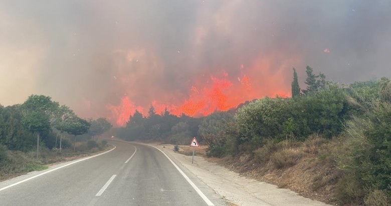 Çanakkale’de ormana giriş yasağı uzatıldı