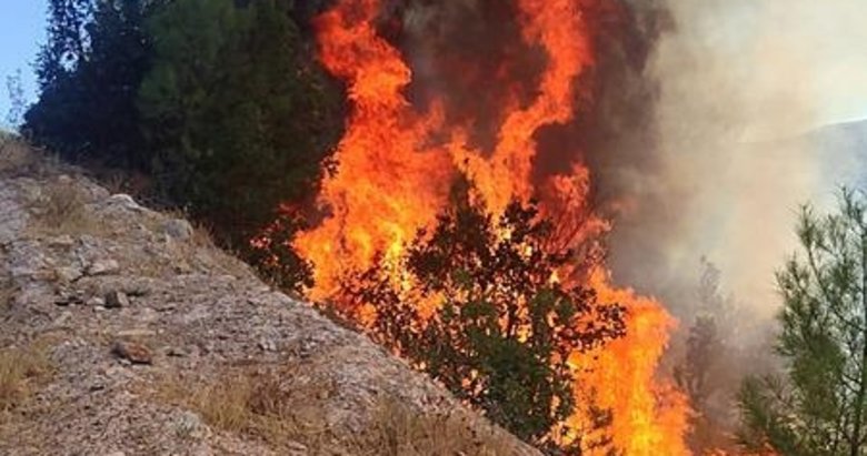 Balıkesir’de orman yangını!