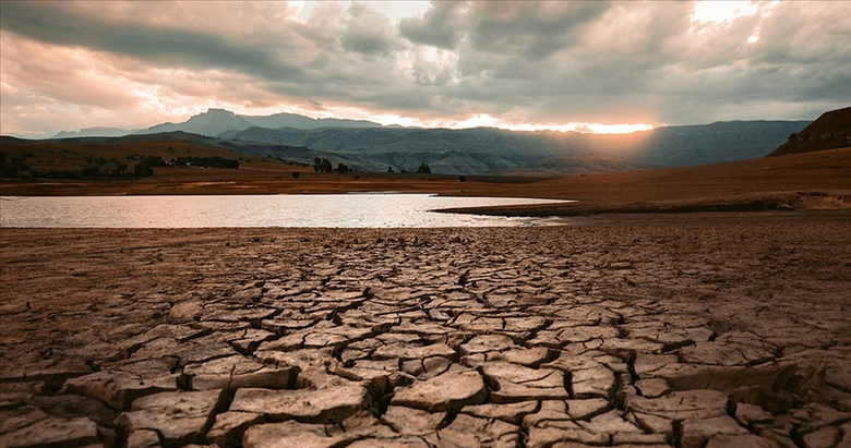 Kuraklığa karşı ürün çeşitliliği artırılıyor