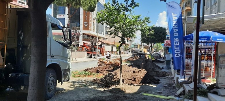 CHP’li belediye 80 yıllık ağaçları kesti! Dikili’de tepki çeken görüntüler