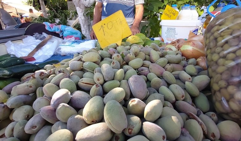 Datça’da taze badem hasadı başladı, sadece 20 gün devam ediyor