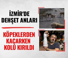 İzmir’de sokak köpeği dehşeti! Köpeklerden kaçarken kolu kırıldı