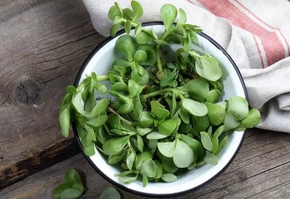 Pirpirim otunun faydaları nelerdir? Pirpirim otu ne işe yarar?
