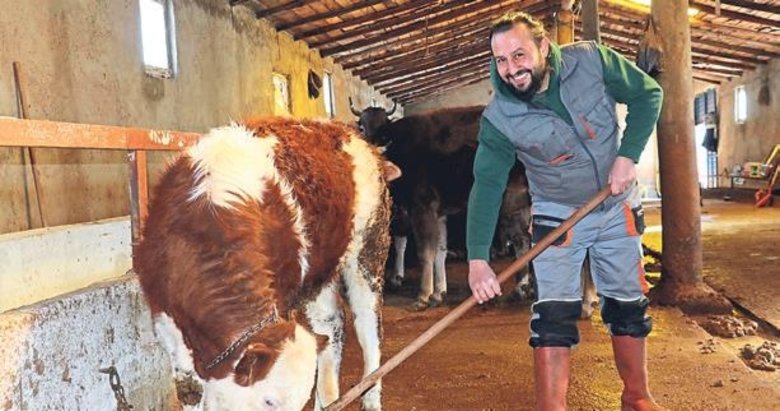 Evlilik parasıyla inek aldı