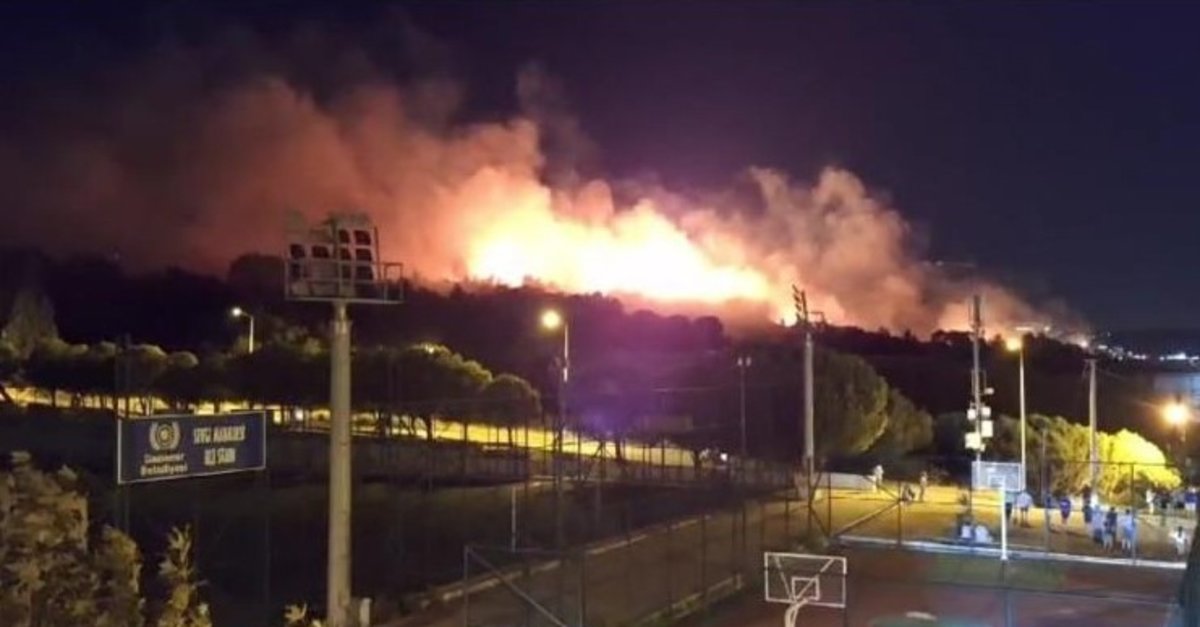 İzmir Gaziemir’de orman yangını