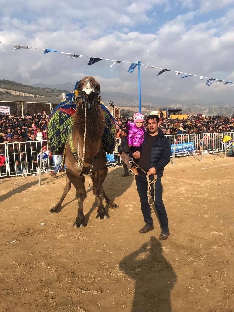 Türkiye’deki 5 bin deveyi ezbere biliyor