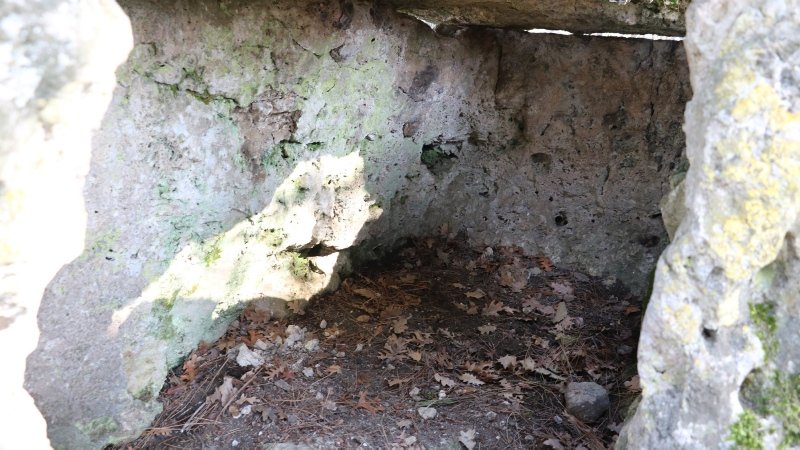 Çanakkale’de Arkeoloji öğrencisinin ormanda bulduğu lahit, koruma altına alındı