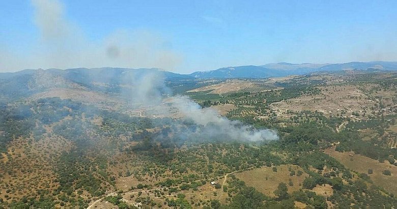 İzmir Bergama’da orman yangını! Helikopter ve uçaklar harekete geçti