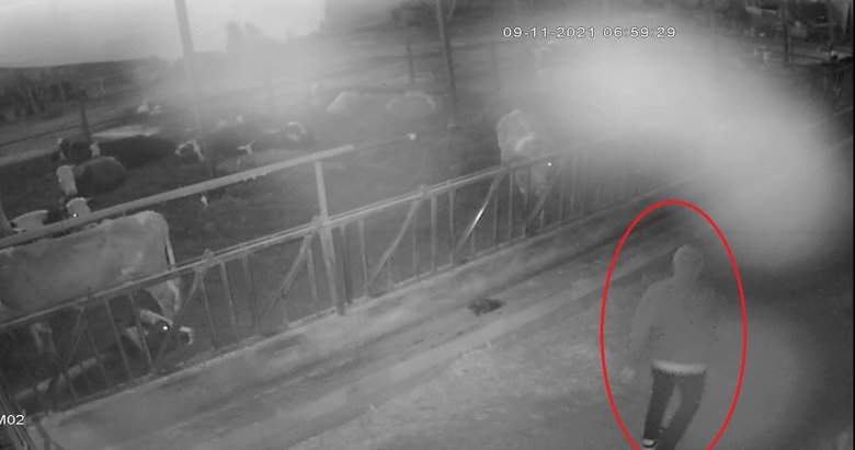 Beceriksiz hırsız, çaldığı çuval yırtılınca arkasına bakmadan kaçtı