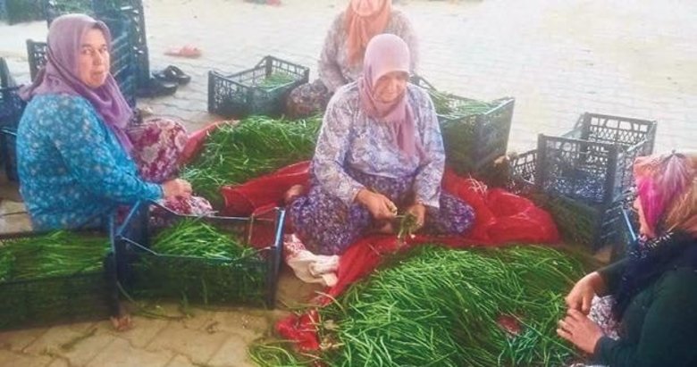 Su sorunu çiftçileri alternatif ürüne yöneltti