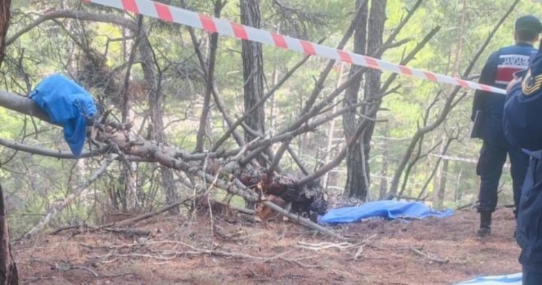 Denizli’de korkunç olay! Odun yapmak için kestiği ağacın altında can verdi