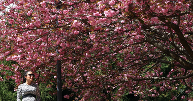 NEVRUZ BAYRAMI NE ZAMAN 2026?