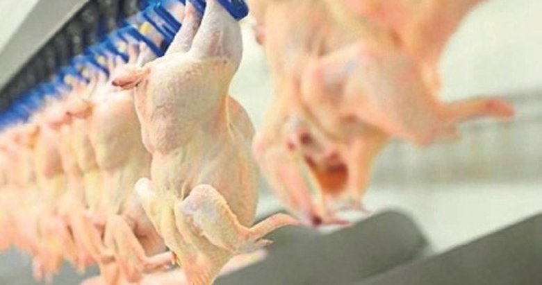 Bakanlık kanatlı eti ihracatına ‘dur’ dedi