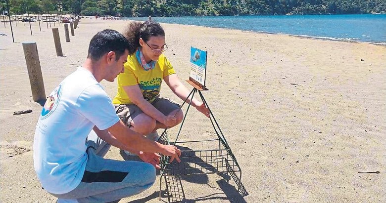 İztuzu’nda caretta caretta yuvası artıyor
