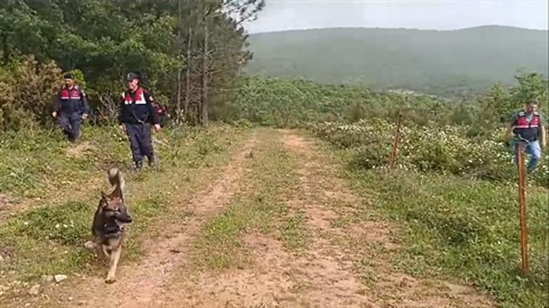 Korhan Berzeg’in kafatası için kadavra köpekleri iz peşinde! Yeni detaylar...